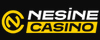 250 FS & 100 FB Logo